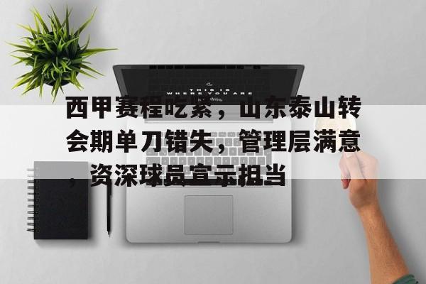 西甲赛程吃紧，山东泰山转会期单刀错失，管理层满意，资深球员宣示担当的简单介绍-英雄联盟赔率